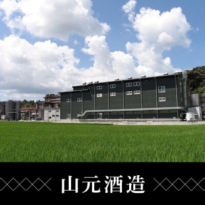 飲み比べ五代 黒五代 蔵の神 黒蔵の神 麦長期 ロックグラス付き1800ml×5本C-204