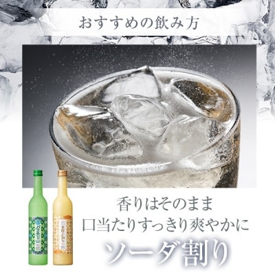 かごしまほろよいスピリッツ　金柑こみち　パクチ～すぴりっと　A-001