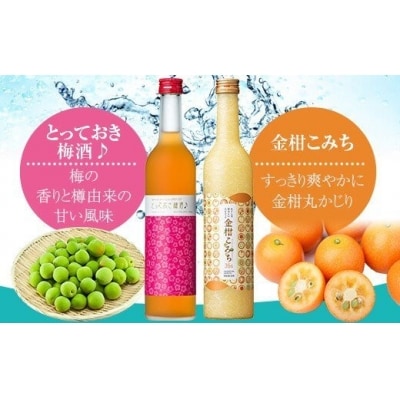 かごしま ほろよいセット 金柑こみち500ml&times;1、とっておき梅酒500ml&times;1 A-215 