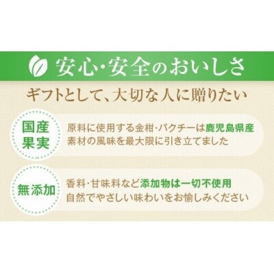 かごしま ほろよいセット　金柑こみち500ml×1、とっておき梅酒500ml×1　A-215 