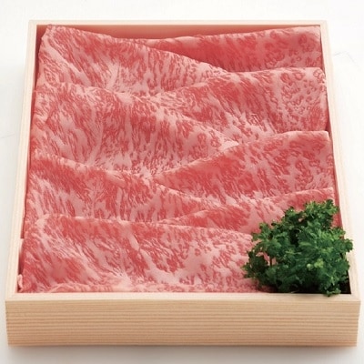 黒毛和牛しゃぶしゃぶ 600g Bセット　DSR-607