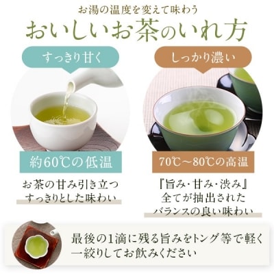  崎原製茶のオリジナルセット#4(お茶10種セット) BS-346
