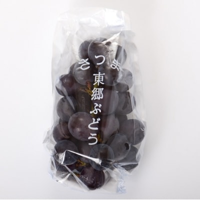 巨峰ぶどう2kg(6房)　A-518 