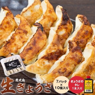 鹿児島生ぎょうざ　餃子　まるしょう　Z-814  | ふるさと納税のお礼品