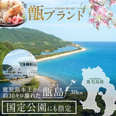 天然きびなご漁師漬け Z-903