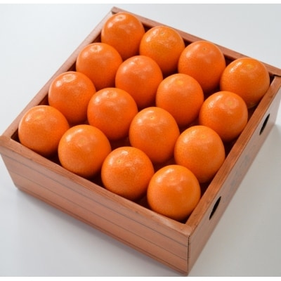 ＼皮までまるごと/鹿児島県産きんかんいりき【3L・32玉入】金柑 JA北さつま　AS-2233