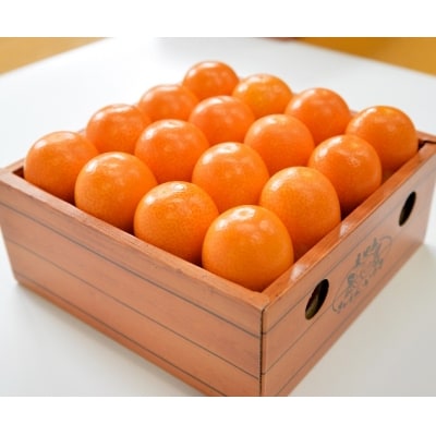 ＼皮までまるごと/鹿児島県産きんかんいりき【3L・32玉入】金柑 JA北さつま　AS-2233