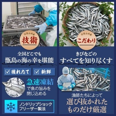 天然きびなご漁師漬け・きびなご天日干しセット AS-378