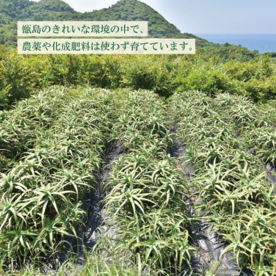 ヒラミネの木立甘酢 AS-109