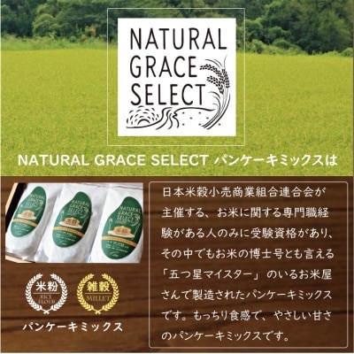米粉パンケーキミックス 計1.2kg(240g×5袋)　AS-552
