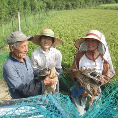 鹿児島県産自然育ちの鴨肉(合鴨)　1枚　AS-8121