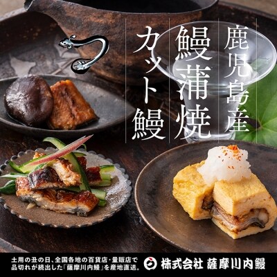 鹿児島県産うなぎ蒲焼カット 約150g(約75g×2袋) Z-850