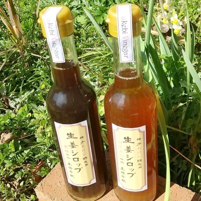 薩摩川内生姜シロップ はちみつ 黒糖 あけび酢使用 各1本セット A 253 お礼品詳細 ふるさと納税なら さとふる