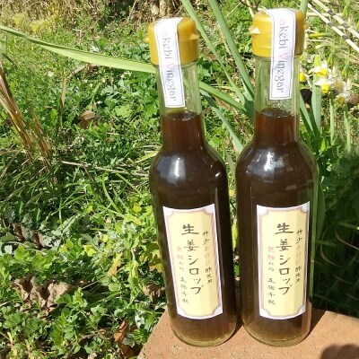 薩摩川内生姜シロップ 黒糖 あけび酢使用 2本セット A 254 お礼品詳細 ふるさと納税なら さとふる