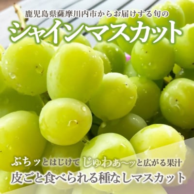 【先行受付】【数量限定】シャインマスカット 2㎏　BS-714　