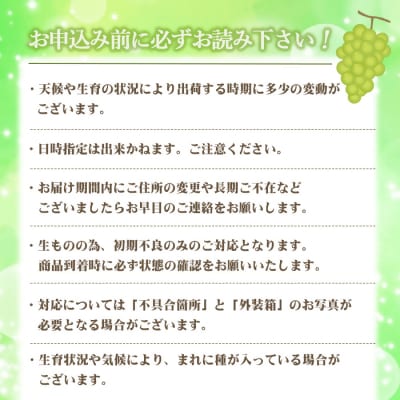 【先行受付】【数量限定】シャインマスカット 2㎏　BS-714　