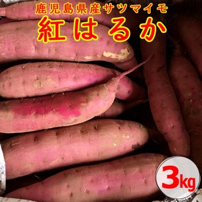 鹿児島さつまいも 紅はるか 土付き 3kg中サイズ 22年1月以降発送 Z 541 お礼品詳細 ふるさと納税なら さとふる