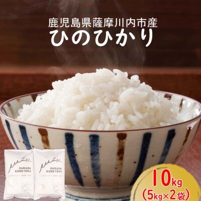 薩摩川内市産ひのひかり　計10kg(5kg×2袋)　A-620 | ふるさと納税のお礼品