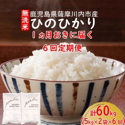 【定期便】1ヵ月おきに6回届く 無洗米 薩摩川内市産ひのひかり 計60kg K-008