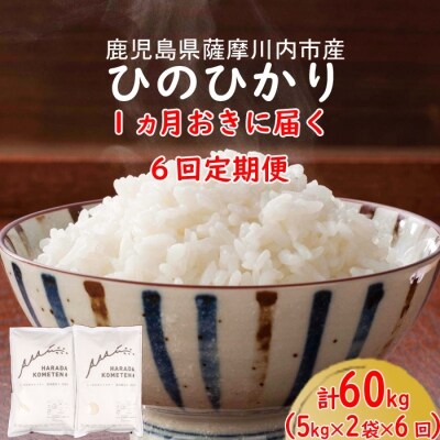 定期便1ヵ月おきに6回届く　 薩摩川内市産ひのひかり　計60kg I-901 | ふるさと納税のお礼品