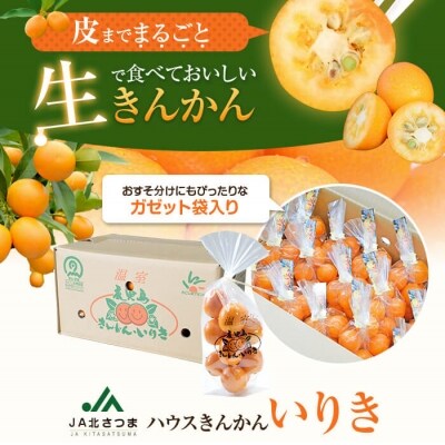 【約3.7kg】JA北さつまのきんかん【1月より順次発送】キンカン 季節限定 B-023