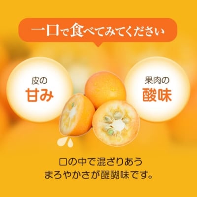 【約3.7kg】JA北さつまのきんかん【1月より順次発送】キンカン　季節限定　BS-3104