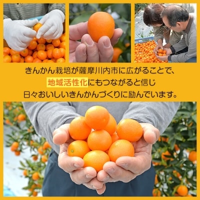  【約3.7kg】JA北さつまのきんかん【1月より順次発送】キンカン　季節限定　BS-3104