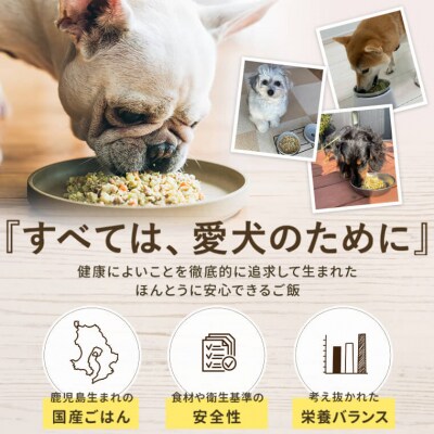 完全国産・獣医師オススメの愛犬の安心ごはん【バディフード(ドッグフード)】3種セットD A-560