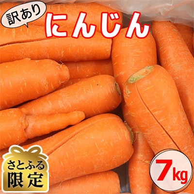 【さとふる限定】【訳ありB品】【先行受付】かごしま美味人参(愛紅)7kg ZSS-682‐4