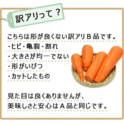 【さとふる限定】【訳ありB品】【先行受付】かごしま美味人参(愛紅)7kg ZSS-682‐4