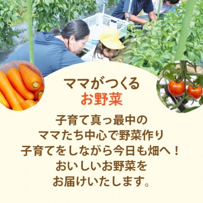 【さとふる限定】【訳ありB品】かごしま美味人参(愛紅)7kg【期間限定】ZSS-682‐0