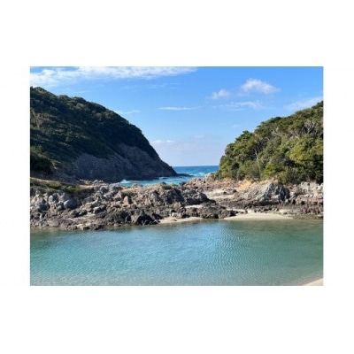 【3/1～順次発送】湯田口海岸産 塩たまねぎ 約5kg AS-015
