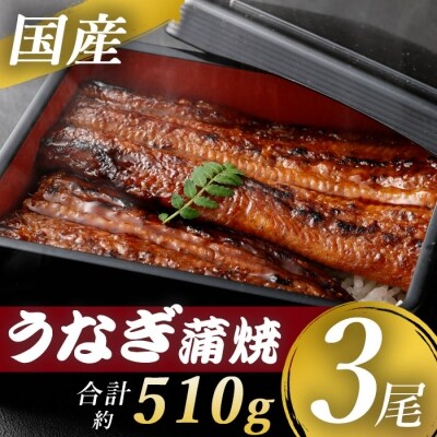 国産うなぎ蒲焼 3尾 B-055