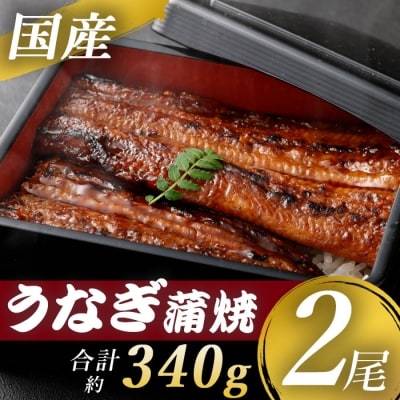 国産うなぎ蒲焼 2尾　AS-840