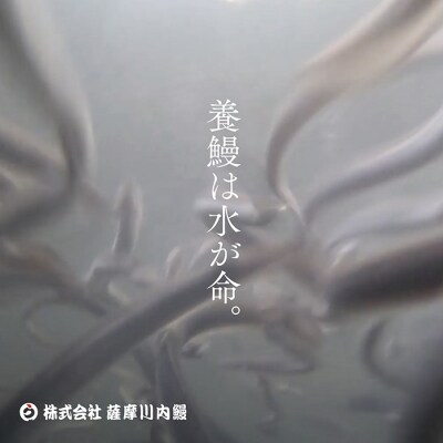 うなぎ肝の佃煮缶詰 60g×4個 AS-2066