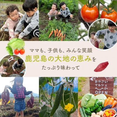 薩摩で育てたさつまいも(紅はるか)洗い　規格外　7kg	ZS-923