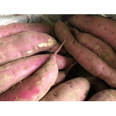 【2026年明け発送】薩摩で育てたさつまいも(紅はるか)洗い10kg 中大サイズ混合 AS-422