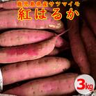 【2025年内発送】【農家直送】薩摩で育てたさつまいも(紅はるか)洗い3kg 小 ZS-604