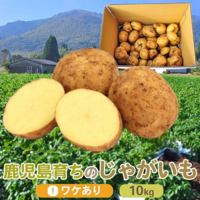 【訳あり】【数量限定】ママたちの想いをギュッ! ほくほくじゃがいも ニシユタカ ZS-715