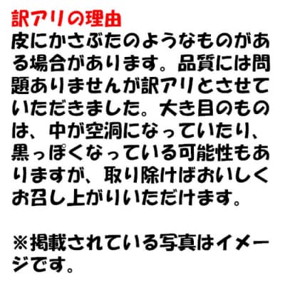 【訳あり】【数量限定】ママたちの想いをギュッ! ほくほくじゃがいも ニシユタカ ZS-715