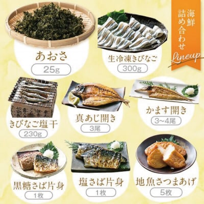 甑島の海鮮詰め合わせ(あおさ)　AS-8111