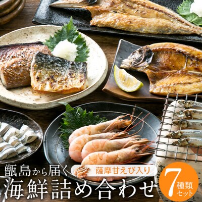 甑島の海鮮詰め合わせ(えび) A-406