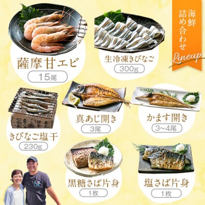 甑島の海鮮詰め合わせ(えび) A-406