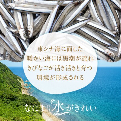甑島の海鮮詰め合わせ(えび) A-406