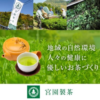 【2026年5月下旬発送】宮園製茶の桃セット　AS-0151