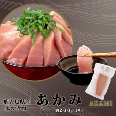 【2026年1月下旬より順次出荷】こしき本マグロ(赤身)200g 約2~3人前 AS-2044