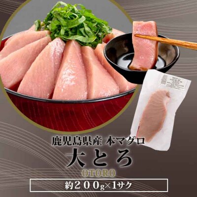 【2026年1月下旬より順次出荷】こしき本マグロ(大トロ) 200g  AS-813