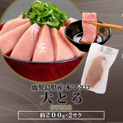 こしき本マグロ(大トロ三昧) 合計400g CSR-510