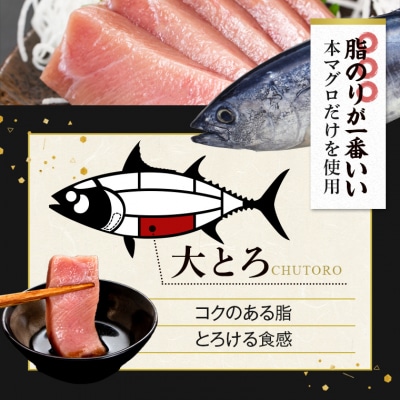 こしき本マグロ(大トロ三昧) 合計400g CSR-510