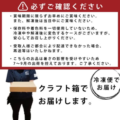 【2026年1月下旬より順次出荷】本マグロ100%のネギトロ約4人前 合計300g  AS-410